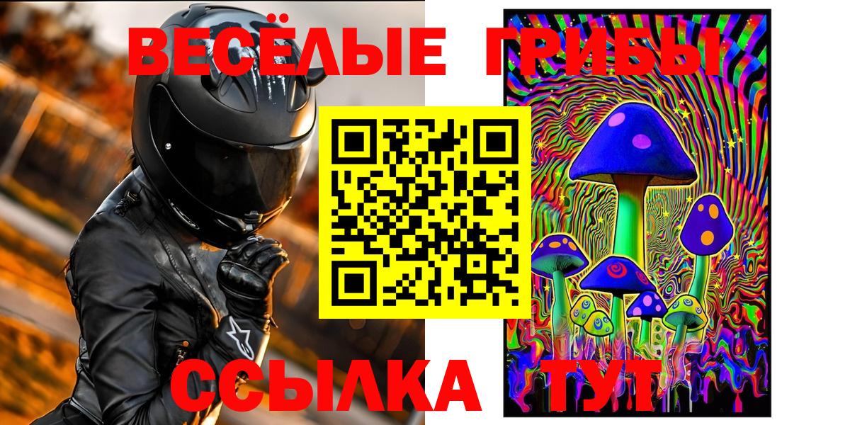 Галлюциногенные грибы Psilocybe  Вход с VPN  Нерюнгри 