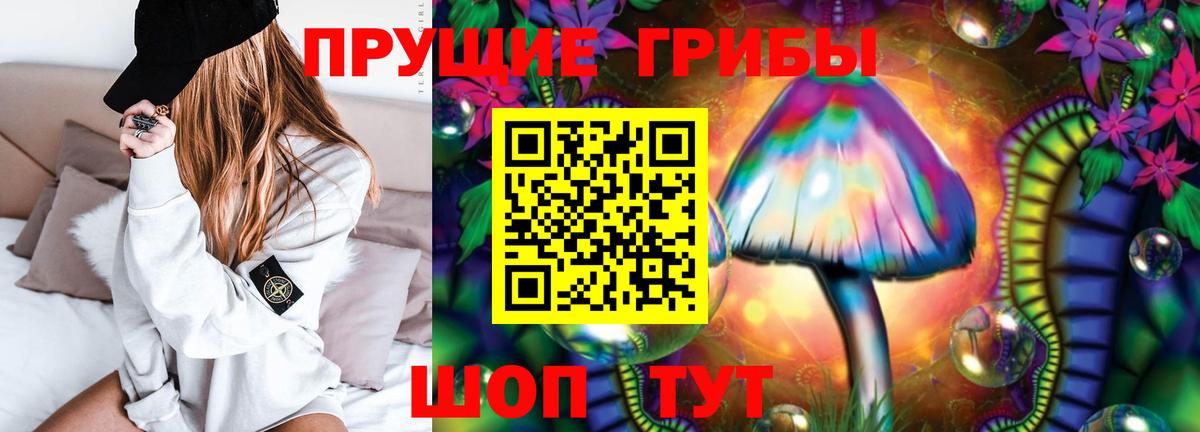 Галлюциногенные грибы Cubensis Нерюнгри